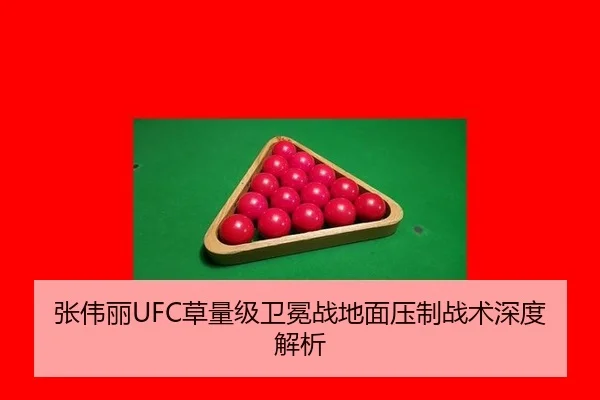 zhang-wei-li-cao-liang-ji-wei-mian-zhan-di-mian-ya-zhi-zhan-shu-shen-du-jie-xi-3-558.jpg
