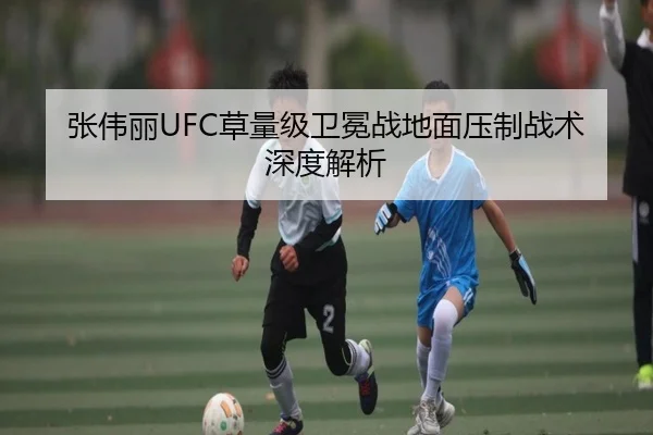 张伟丽UFC草量级卫冕战地面压制战术深度解析
