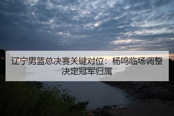 liao-ning-nan-lan-zong-jue-sai-guan-jian-dui-wei-yang-ming-lin-chang-tiao-zheng-jue-ding-guan-jun-gui-shu-2-182.jpg