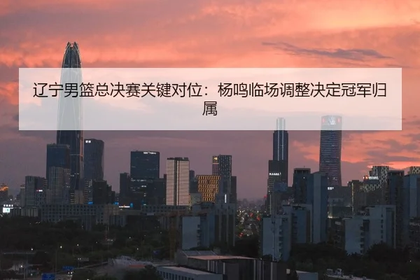 辽宁男篮总决赛关键对位：杨鸣临场调整决定冠军归属