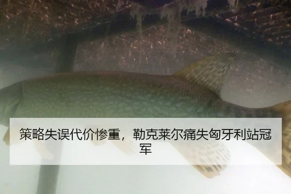 策略失误代价惨重，勒克莱尔痛失匈牙利站冠军